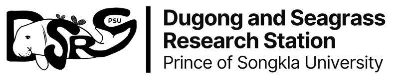 Dugong and Seagrass Research Station (DSRS), PSU